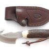 Cuchillo Muela Raccoon-8A - Imagen 2