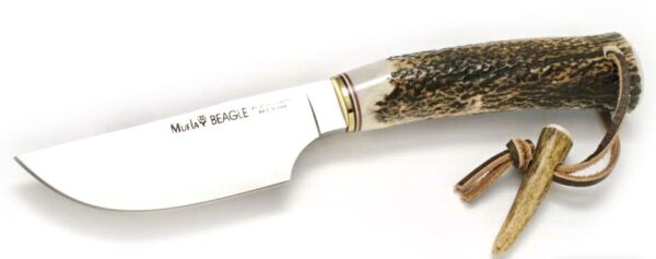 Cuchillo Muela Beagle-11A