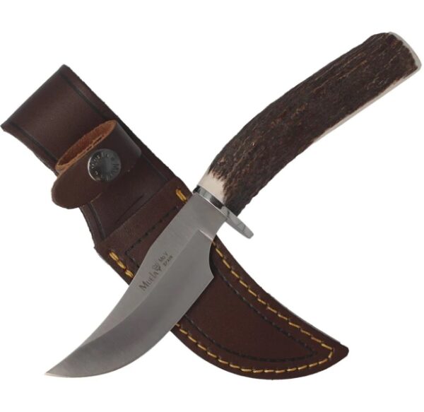 Cuchillo Muela Dp-10A