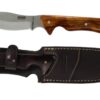 Cuchillo Aitor Safari Jr - Imagen 3